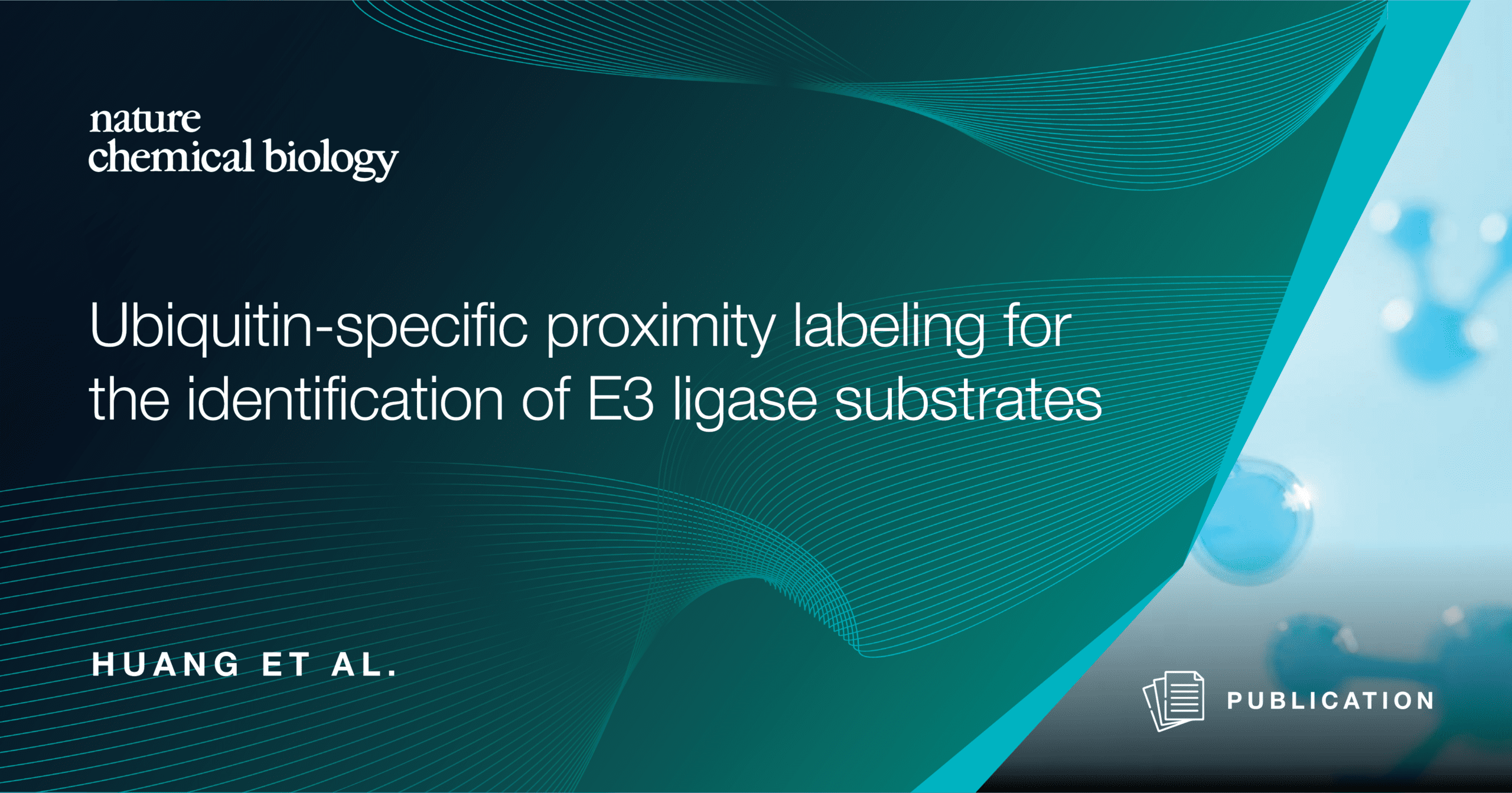 Ubiquitin-specific proximity labeling for the identification of E3 ...